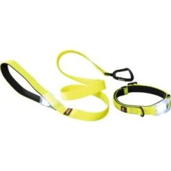 Dogs Creek Leuchtleine Polar Light -Ruffwear Verkäufe 2024 64ae5c1472e9e4773f1a8854da070fd0cce773c7 ea164e0dc8f6456f28ef7ded8cf179b49ef22ba3