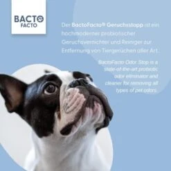 ChronoBalance BactoFacto Probiotischer Geruchsstopp Pads Für 2 Liter 20 Ml 9 ChronoBalance BactoFacto Probiotischer Geruchsstopp Pads Für 2 Liter 20 Ml -Ruffwear Verkäufe 2024 6515b6e6800e68909a0a5f7e0f816613e8c36542 1397549 de DE 9a466fcf5c88e78df191b07c6d764f4746df49dcxtsIbT