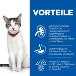 Hill's Science Plan Senior 11+ Mit Huhn 3 Kg 11 Hill's Science Plan Senior 11+ Mit Huhn 3 Kg -Ruffwear Verkäufe 2024 65355ea3910df3a9bf78bcc29cf7e0f454b27f86 52742023359 4