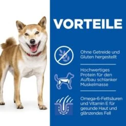 Hill's Science Plan No Grain Adult Medium Ohne Getreide Geflügel 14 Kg -Ruffwear Verkäufe 2024 6586ae1353ed3462827033edbfb4d437c174d59b 52742037080 4