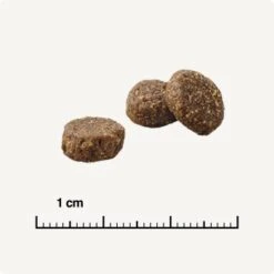 REAL NATURE Original Adult 2kg Kaninchen & Huhn 12 REAL NATURE Original Adult 2kg Kaninchen & Huhn -Ruffwear Verkäufe 2024 66275984ec70159507e68c3c20eba756040e26f9 1350195 de DE 6