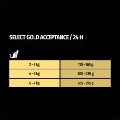 SELECT GOLD Senior Acceptance 6x400 G -Ruffwear Verkäufe 2024 66387152bcbcae26f410e09f0656c41cf4ad446d 1322170 de DE 7