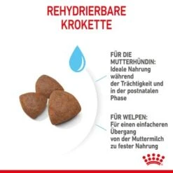 ROYAL CANIN Medium Starter 15 Kg -Ruffwear Verkäufe 2024 6679a3b2bdb7a15a7a249f4fa1a6163b4dfd2e51 f6d1aa2f2e73ece1ddeaaf947b0214ea4e0e5123