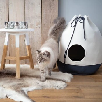 District 70 Höhle Casa Grau 2 District 70 Höhle Casa Grau – Bild 2