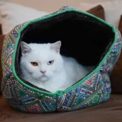 Canadian Cat Company Katzentunnel COSMO M -Ruffwear Verkäufe 2024 67f448259cbca2b76f0f056d6321e3f462cbbfb2 1412665 de DE 5bb2b25340ddb934c05b11da4b3410ce26fcf1f8fEc8B6