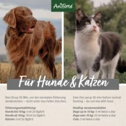 Aniforte Ulmenrinde 100 G -Ruffwear Verkäufe 2024 6844553751b5b8e03a1bb129a8a2591ba4eb2f73 1332939 de DE de3a0d43a9558905dce3688643de1dd30a234084IPDVe7