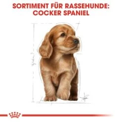 ROYAL CANIN Cocker Puppy 3kg -Ruffwear Verkäufe 2024 68fdcc1bd44edabf0dacf16e4d550dc22a85ee95 b436ffccd3e8e5f8e1b88dd5cd77346c954d8d0e