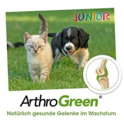 ArthroGreen Junior 25 G -Ruffwear Verkäufe 2026 6a60d69f3d1c00ba35978cfcbf4d867d243561bc 1674241 de DE bed99a5dadc632a71630f6b3e1df7dd049168828anHF6x