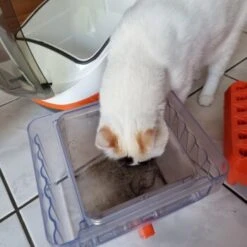 THOMAS Staubsauger 15 THOMAS Staubsauger -Ruffwear Verkäufe 2024 6a70c632a0bab42059bec4b43d139a5d2e40f9ae 1406733 de DE e7e44b3ec14bf6f4d989c5887e4e07bdd5895c48xakBwm