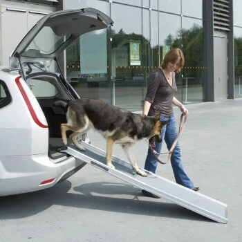 Trixie 2-fach Teleskop-Rampe Aluminium/Sandpapier 1 Trixie 2-fach Teleskop-Rampe Aluminium/Sandpapier