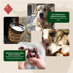 ChronoBalance Kuhmilch Käsestick (L) 2er Paket -Ruffwear Verkäufe 2024 6d71617c1f657a6482d543c628b3f79fea110e49 1418707 de DE 6e5d452c715e3c46c21bd7dd434bb74b98e2078f3I4imK