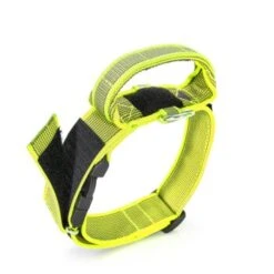 Julius K9 JULIUS-K9 Halsband Mit Griff 50mm Neon Gelb 6 Julius K9 JULIUS-K9 Halsband Mit Griff 50mm Neon Gelb -Ruffwear Verkäufe 2024 6d974eed80600aae5610e6f937ce73cb97345cc1 1346788 de DE K9 3