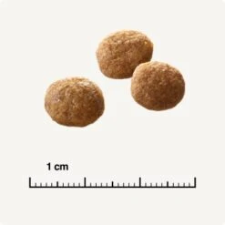 SELECT GOLD Senior +12 Geflügel Mit Reis 3 Kg 10 SELECT GOLD Senior +12 Geflügel Mit Reis 3 Kg -Ruffwear Verkäufe 2024 6db53d99e99530132bf34d8482d69f423780c004 1081823016 de DE 6