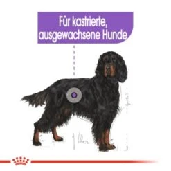 ROYAL CANIN Sterilised Maxi 12 Kg -Ruffwear Verkäufe 2024 6ebba30103677b140267651b6c1cc3e27c295bec 1376254 de DE oajs 5