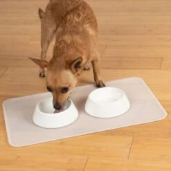 KaraLuna Basic Napfunterlage Transparent S -Ruffwear Verkäufe 2024 6f92b46b9666870298738b4bee75a50ee534fac6 1407499 de DE 14497c23a79b7136237df13f9c32b5ed84fd5ff04vyZgl