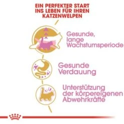 ROYAL CANIN Maine Coon Kitten 4 Kg -Ruffwear Verkäufe 2024 762fe3d95c521f1c9aed31bc11ea5f813cb64625 48abad1c00ba32352c5f4e40b8a5a9d5e4dec65f