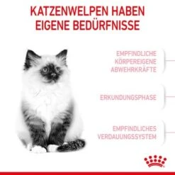 ROYAL CANIN Kitten 4 Kg 12 ROYAL CANIN Kitten 4 Kg -Ruffwear Verkäufe 2026 76c69f287cfbe56e3ecbc6374c1c83282049ff9f 3182550702973 4
