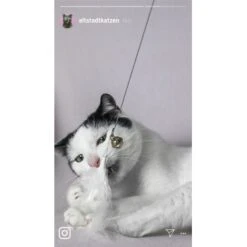 Kater Kasimir Premium Katzenangel Mit 4 Handgemachten Anhängern Aus Naturmaterial 8 Kater Kasimir Premium Katzenangel Mit 4 Handgemachten Anhängern Aus Naturmaterial -Ruffwear Verkäufe 2024 770b4a4773ed49d435287f5ac0f03f94a117604e 1408150 de DE d77919138410a09ab67416f25ec15e6664e9d2ac4JZFQJ