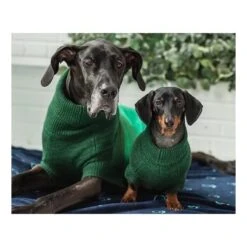 GF Pet Trail Pullover Forest Grün XXXS -Ruffwear Verkäufe 2026 779f298087cae5c721d39d0e409ff830d9702e07 51764b41ec1e519efc4e7ae3561161e25d618dc0