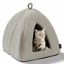 MORE Höhle Diamond -Ruffwear Verkäufe 2026 7939acaef98cdb9195a642e4ff359691740fc0e9 84dbe0d60d2ca1e5170055a2164cc0d47aaedf72