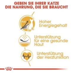 ROYAL CANIN Sphynx Adult 10 Kg -Ruffwear Verkäufe 2024 7ad1bdc3999349cafae1459c3c182b6552d5adfd b7ee4724e59d51ce320d09e32faae7a8df47303e