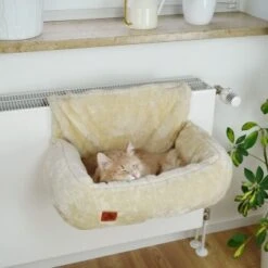 Schlitzohr Heizungsliege Lucky Beige -Ruffwear Verkäufe 2026 7bab29708c56b6f70695735987b821094f74efb9 1484673 de DE 775053056e82816b2424b888f536a523a0880ea7ZfMupV