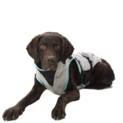 Trovet Suitical Kühlweste Dry Cool M -Ruffwear Verkäufe 2024 7c6cb463b1c403c67dd5b0537c226320cd47afee 1321386 de DE Trovet suitical 5 Kopie