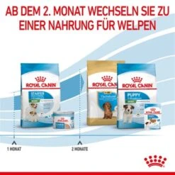 ROYAL CANIN Mini Starter 4 Kg 14 ROYAL CANIN Mini Starter 4 Kg -Ruffwear Verkäufe 2024 7cfe30cc23997a8b985550fb3bbc8bf5628f0cdd 5ac24ac32cd46f87cbb131c48c87e5835f058d50