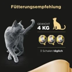 Sheba Delikatesse In Gelee 22x85g Huhn -Ruffwear Verkäufe 2024 7d0c61cee00487eaa7204e4ee0e0cb29425d4a1a 53fe67de08e8358e9fe1bb0859111ef670e81b29