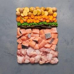 Irish Pure 12x Nassfutter Atlantik-Lachs -Ruffwear Verkäufe 2024 7d85c23fa898a78b22cb0441775317658e047c55 1664445 de DE 0982b9414042a12e9025dddf9167eef6de3d5a55gtmHoK