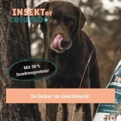 BeG Buddy Trockenfutter Insekten 10 Kg -Ruffwear Verkäufe 2024 7dbff851a4b08db9f175b2d2a82d8c606025d507 1457249 de DE a7b2e0a08ffde87f19ce4820500c56d453115ca7oJJiOg