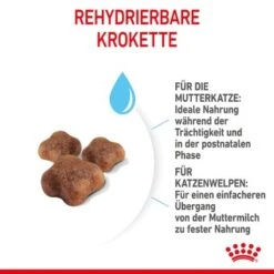 ROYAL CANIN Mother & Babycat 2 Kg 9 ROYAL CANIN Mother & Babycat 2 Kg -Ruffwear Verkäufe 2024 7de9161ec8af5d8e5fb59d6589cba97c3ecae1bf 3182550707329 5