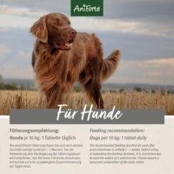 Aniforte Plus Magen & Darm 90 Tabletten 8 Aniforte Plus Magen & Darm 90 Tabletten -Ruffwear Verkäufe 2024 7f8f2a9e3dfb6b1b6bfc2c46c90c19d71a287a4e 1455900 de DE 2a5fad406f9271ee48566f61f7a7426e7429e69egnnmrI