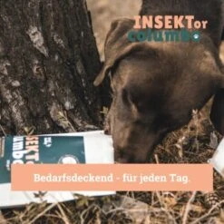 BeG Buddy Trockenfutter Insekten 10 Kg -Ruffwear Verkäufe 2024 809bc4ff3b44a47ca72efd37dd80bd2ebc8d6768 1457249 de DE 123bfe8a8f9618b3a58ac5efe483c5e0ad6f0bd2L86XLS