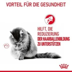 ROYAL CANIN Hairball Care 12 X 85 G -Ruffwear Verkäufe 2024 81812c97ef6be37b8d0c7dab9df24712cfb21604 1229818 4