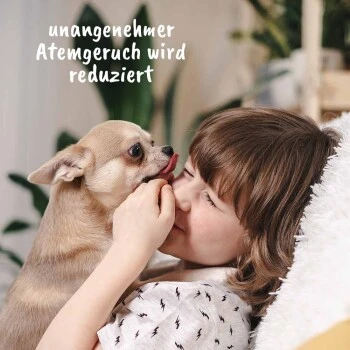 DentaVet Gel 35g 7 DentaVet Gel 35g – Bild 7