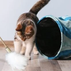 Kater Kasimir Premium Paket Mit 7 Beliebten Katzenspielzeugen Aus Naturmaterial -Ruffwear Verkäufe 2024 84f221d79ef76f1b4f2f0037d329c11c6fce3a33 1408152 de DE 294269527f07b1898ca7562c986e956043828d3cA8xBpO