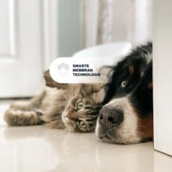 KYVETIN Spray Skin Repair Für Hunde Und Katzen 14 KYVETIN Spray Skin Repair Für Hunde Und Katzen -Ruffwear Verkäufe 2024 851cbfa418e315e47d7ba499ec62be71e3229497 1364195 de DE KyvetinSpray 7