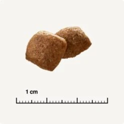 SELECT GOLD Urinary Adult Geflügel & Reis 2,5 Kg -Ruffwear Verkäufe 2026 854b6f3783a732e74601afa7a935f9af2b196682 1001086022 de DE 6