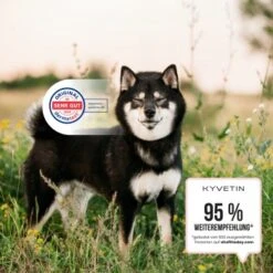 KYVETIN Spray Skin Repair Für Hunde Und Katzen 12 KYVETIN Spray Skin Repair Für Hunde Und Katzen -Ruffwear Verkäufe 2024 855eb3c7fca7c841451cde094ef9ccbea4bfbca8 1364195 de DE KyvetinSpray 5