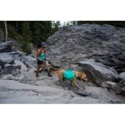 Ruffwear Flat Out™ Leine Blau/ Blau -Ruffwear Verkäufe 2024 85e1e87221f1b41da3f49e762abc3e4155bd6bfa 1364254 de DE 1bdd3ccdf97db74402231bb261899b329fe405dbNPxWVG
