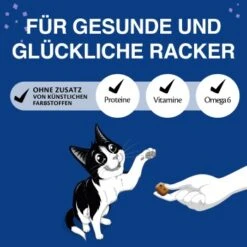 Felix KnabberMix Original & Strandspaß Katzensnacks 2 X 8 Beutel à 60g -Ruffwear Verkäufe 2026 878510f86bf7649080f45870d3d822d01ee54bf1 1364343 de DE felix snacks wb3