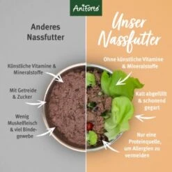 Aniforte GreenfieldTurkey Pute Mit Quinoa 2,4 Kg -Ruffwear Verkäufe 2024 87fa8abed10a2dd56385d42b5e4495a316e5e475 1422188 de DE fcf542fb4d42b977b010bc0c68872ccabafd165c8P5Yor