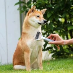 Schlitzohr Unterfellbürste Cookie 14 Schlitzohr Unterfellbürste Cookie -Ruffwear Verkäufe 2024 8a282a966ab4bc47cbd028495077fe9505bb8eff 1484683 de DE f9a0182d0c3e6b7b158dd177c8fb6ca9048996c68U5RR2