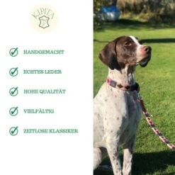 Kipita Polo Hundeleine Rainbow 11 Kipita Polo Hundeleine Rainbow -Ruffwear Verkäufe 2024 8abb42b32cbc1eac256c2e5aaed5b5ad720cf72c 1410959 de DE e149407534bdcfb2672e3057857c7f56cd770233aiC6wq