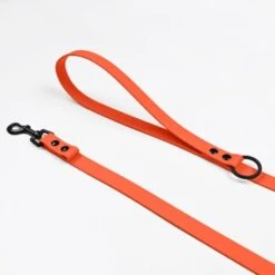 THE DOG IDEA Cityleine Biothane Orange -Ruffwear Verkäufe 2024 8b128dcd8fdc0c70e8676d0e095c3119380e9482 1492085 de DE 7b0476d14053e82b93eae2d1b910a9110a00ce2eVxtoaS