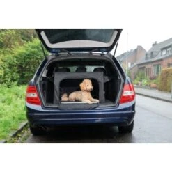 AniOne Traveller S -Ruffwear Verkäufe 2024 8bad1cf4a40148f72620a3eb50f4a7ed585d3c59 1367559 de DE AniOne Traveller wb 10