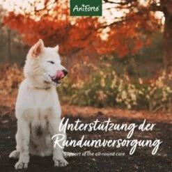 Aniforte 4in1 Complete Dog -Ruffwear Verkäufe 2024 8c5939e9a034077a3552f158dbe5f91fd29e1215 1332843 de DE aca85754970fb7b2c441c0d2dd5fcc395b1360c0UEca49