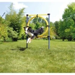 AniOne Agility Set 16 AniOne Agility Set -Ruffwear Verkäufe 2024 8dd2c346cfba9b57b3f14270694b3f975d0558fa 8ae19109d8863c833405d8d5b2e72b4315e858f5