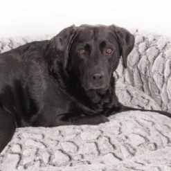 Wallace & Jones Hundebett Cordo-Heaven S 13 Wallace & Jones Hundebett Cordo-Heaven S -Ruffwear Verkäufe 2024 8e084c327395b4ef79d8940f974ebd23a64309b7 1449008 de DE 044a9bd4bcc4f828504886aa452126d570985afe10T69n